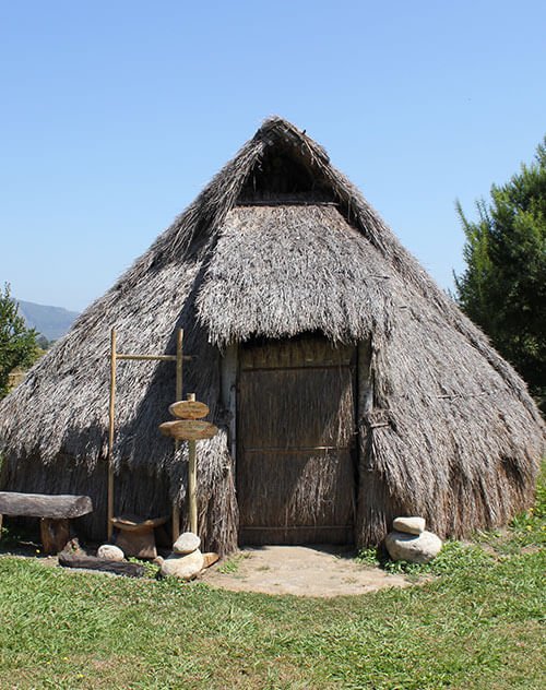 Mapuche Worldview
