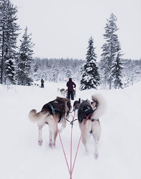 Winter Sports