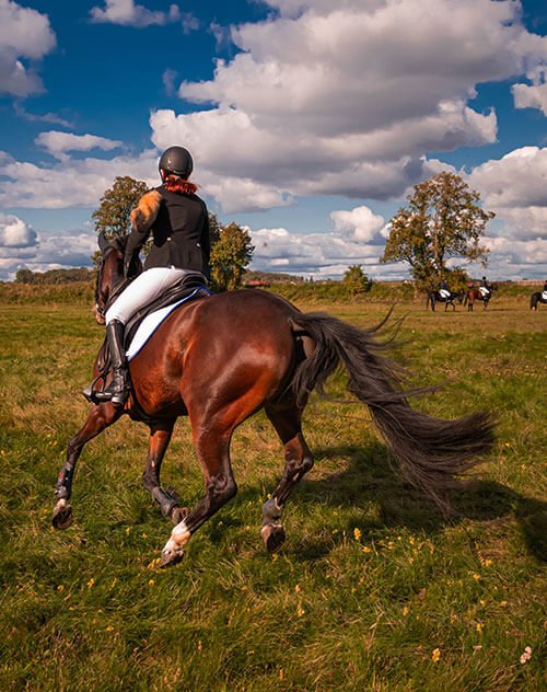 Horseback Riding