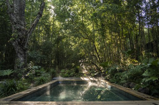 WARM WATERS - Tucked in the trees, the hot pool offers peaceful immersion in nature