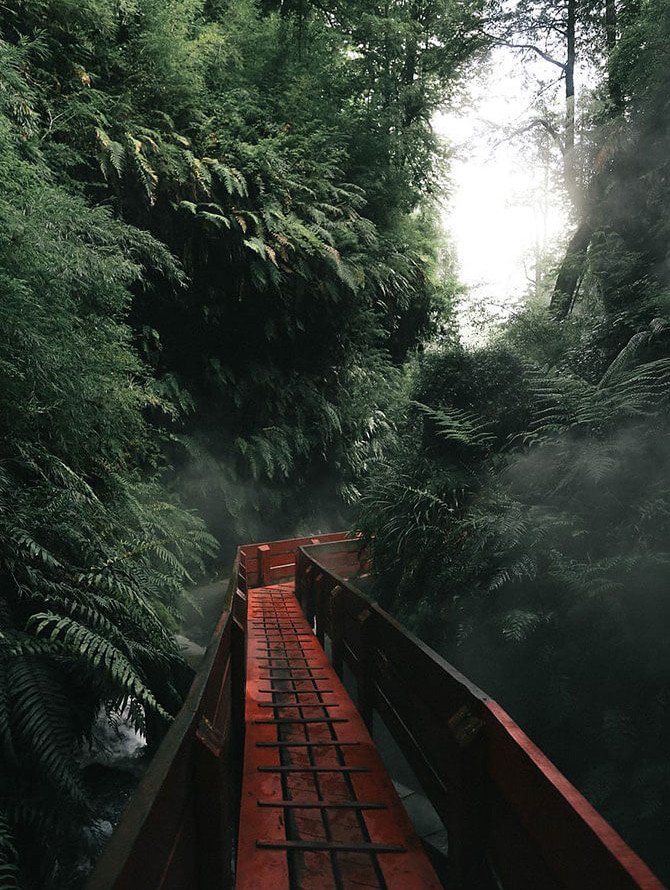 image_1