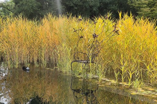 WATER & WILD BLOOMS - Special touches by local artists bring beauty to the heart of the water garden
