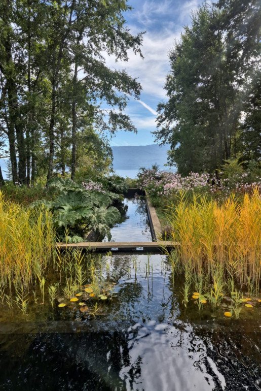 WATER MIRROR - Water feature that connects the pool to the lake, blending seamlessly with the surrounding vegetation