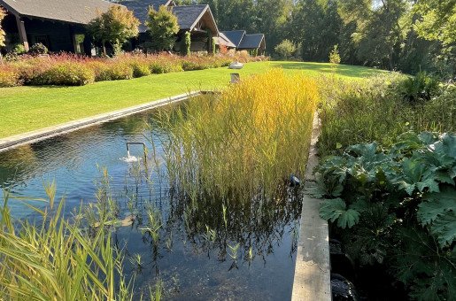 THE VILLA - Natural freshwater pool with lotus flowers, bridging house and lake